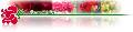 Logo von Rosen Waibel GesmbH G�rtnerei/Blumeneinzelhandel